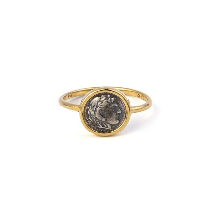 Hercules Ring - 14K Gold and Sterling Silver